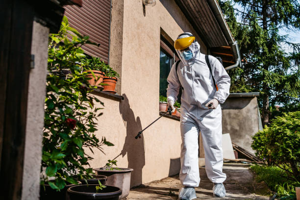 Best Pest Control for Homes  in Booker, TX