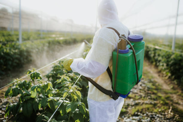 Best Pest Inspection Near Me  in Booker, TX